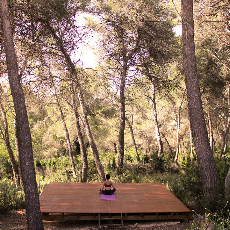 yoga in the forest